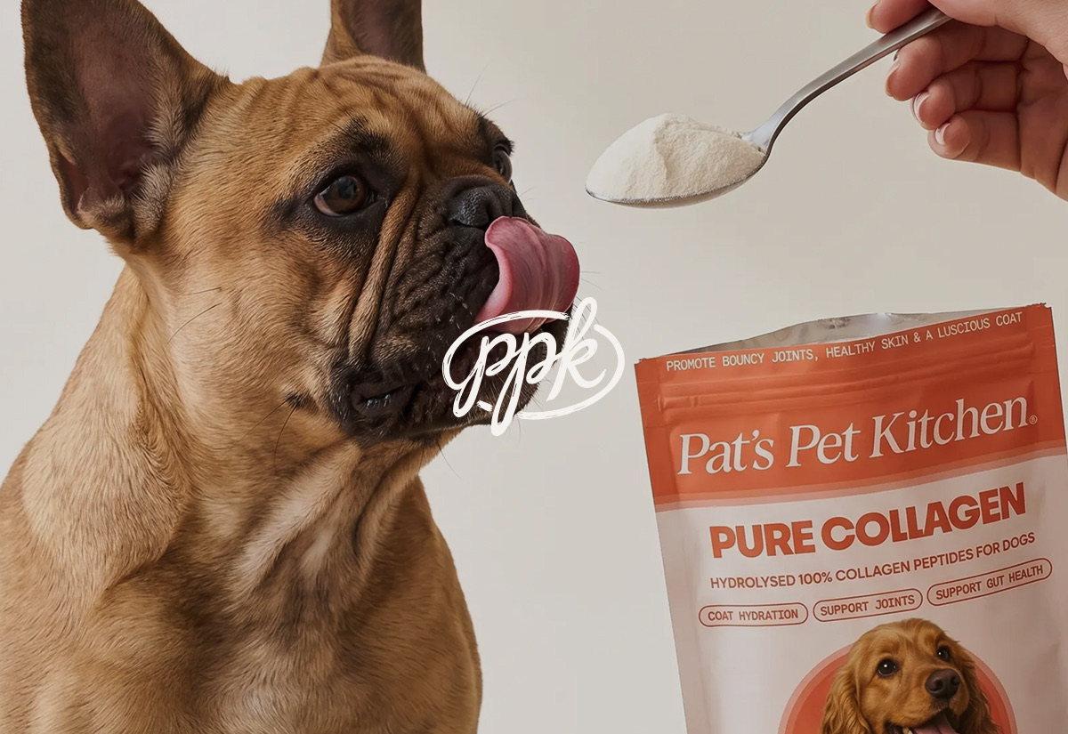 Pat's Pet Kitchen